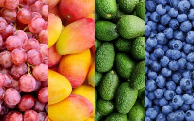  Agroexportaciones en Perú crecen durante el 2023
