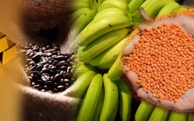 Blog 7 1 Exportaciones en América: Panorama general 2023