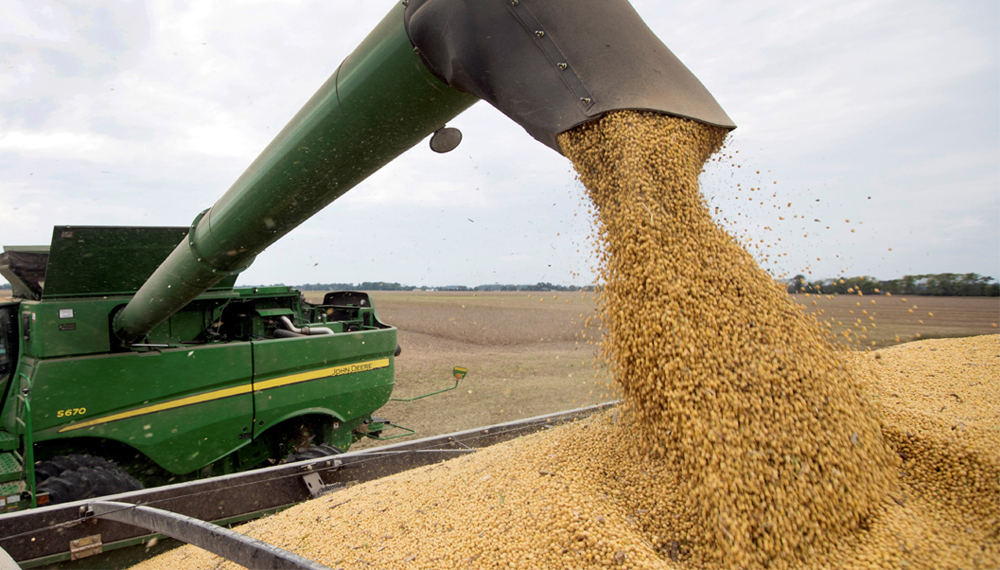 5 alimentos genéticamente modificados 1 1 5 alimentos geneticamente modificados Agroindustria, Comercio Internacional, Operaciones logísticas, Tecnología