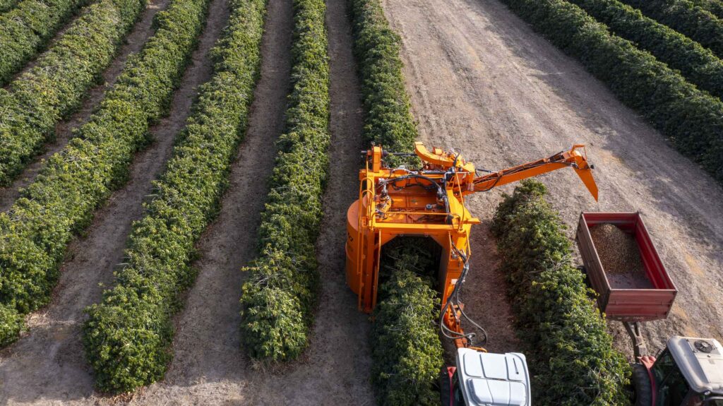 Costa Rica y la FAO firman acuerdo para fortalecer desarrollo sostenible en el sector agropecuario 2 1 Costa Rica y la FAO - 01