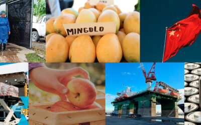 Resumen logístico de mayo 2024