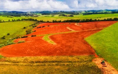 Industria agroalimentaria: Principales desafíos