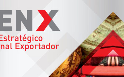  Los 4 pilares del PENX 2025